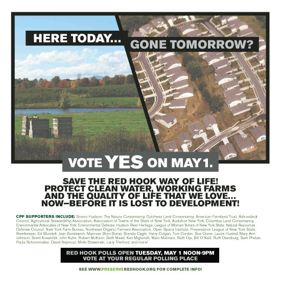election poster design for Red Hook Community Preservation Act