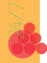 suny branding